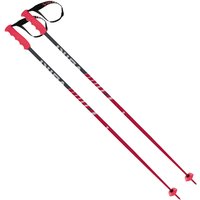 Voelkl Speedstick Red Poles 2022 von VÖLKL