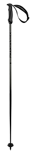 Völkl Unisex – Erwachsene PHANTASTICK Carbon Poles Skistöcke, Grey, 110 von Völkl