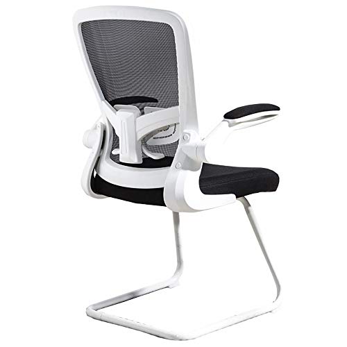 WADRBSW Sessel, Netz-Bürostuhl mit hochklappbaren Armlehnen, ergonomisches Design, verstellbare Lordosenstütze, Traggewicht: 150 kg to Pursue Happiness von WADRBSW