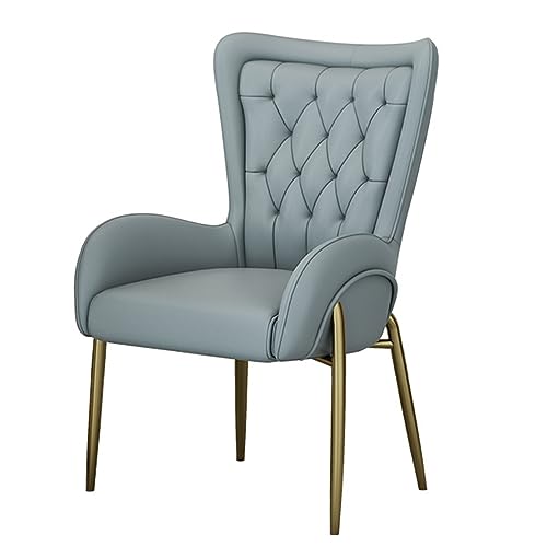 Esszimmerstühle für Zuhause, moderner Stuhl mit goldenen Metallbeinen, gepolsterter Luxus-Beistellstuhl für Wohnzimmer, elegante Esszimmerstühle für Schlafzimmer/Schönheitszimmer (Farbe: Hellgrau) von WAGXIyU