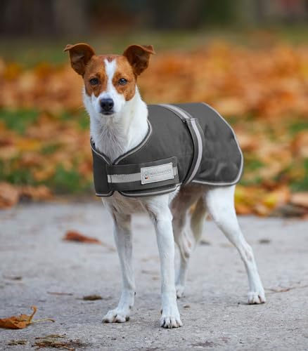 WALDHAUSEN Comfort Hundedecke, 200 g, 45 cm, grau von WALDHAUSEN