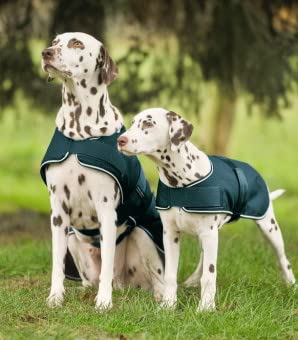 WALDHAUSEN Regen-Hundedecke, 55 cm, grün von WALDHAUSEN