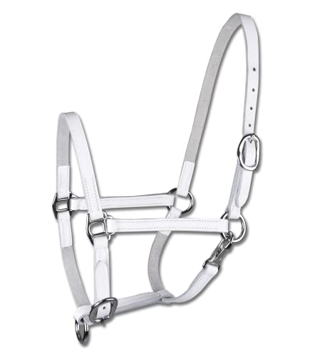 WALDHAUSEN Star Fohlenvorführhalfter, Leder, VB, Weiss WALDHAUSEN Star Fohlenvorführhalfter, Leder, VB, Weiss von WALDHAUSEN