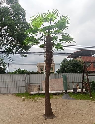 WANGLL Künstliche Kokospalme, Palmendekoration, künstlicher Baum, große Regenwaldpalme, grünes Modell, Kokospalmen für die Dekoration im Freien, Haus und Garten, 3,5 m von WANGLL