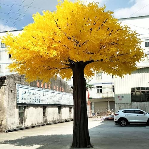 WANGLL Simulation eines Ginkgobaums, dekorative künstliche Bäume, Pflanze – hervorragende Größe als besondere Pflanze für Flure, Wohnzimmer und Büros, 3 m von WANGLL