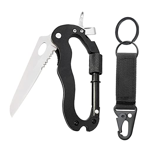 Karabiner Schlüsselanhänger Karabinerhaken Heavy Duty Mini Multitool Kletterausrüstung für Camping mit Klein Schlüsselring, 2 Pack Schwarz von WASYPLSFOI