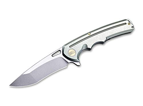 WE Knife Unisex – Erwachsene 611F Taschenmesser, Silber, 9.5 von WE Knife