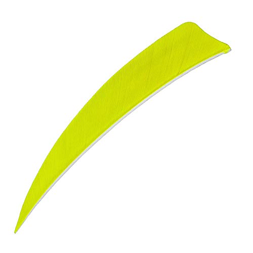 WEREWOLVES Pfeilfedern 3 "4" 5 "Truthahn-Feder Pfeil-Befiederung Feder Peltate Rechtsflügel Naturschaufeln für DIY-Pfeile-Befiederung (4 Zoll, fluoreszierend gelb) von WEREWOLVES