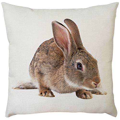 WERVOT Kissenbezüge Schlafzimmer Zierkissenbezüge, Super Weicher Frohe Ostern Leinenmischung Süß Hase Überwurf Kissenbezug Couchkissen für Sofa Home Dekorative Haus Zimmer Auto Dekokissen 45x45cm(D7) von WERVOT