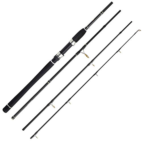 WFT Sea Dart Dorsch 4pcs. 2,16m 40-160g von WFT