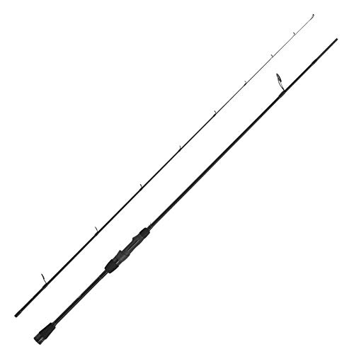 WFT Penzill Black Spear DS 2,10m 3-30 g von WFT
