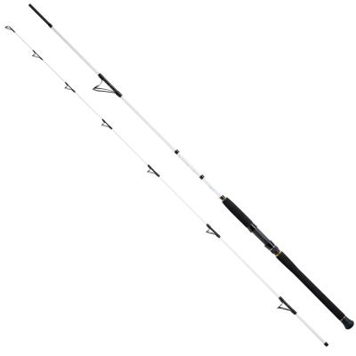 WFT Salzmeister Köhler Jigger 2,65m 25-120g von WFT