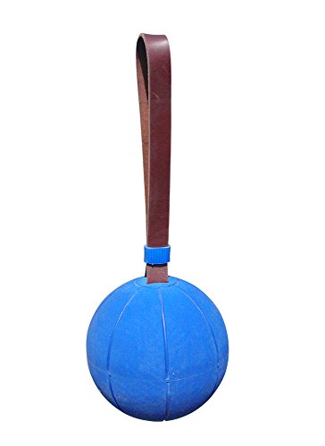 WV Original Schleuderball - 1,00 kg für das Deutsche Sportabzeichen von WV