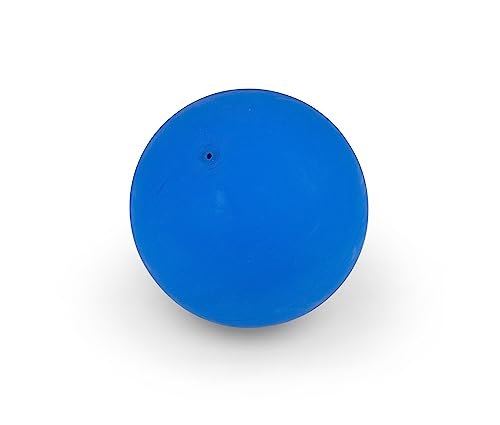 WV Gymnastikball Klein - 16 cm - Gummiball Klein - Rehabilitation - Kleiner Gymnastikball - Ball - Blau von WV