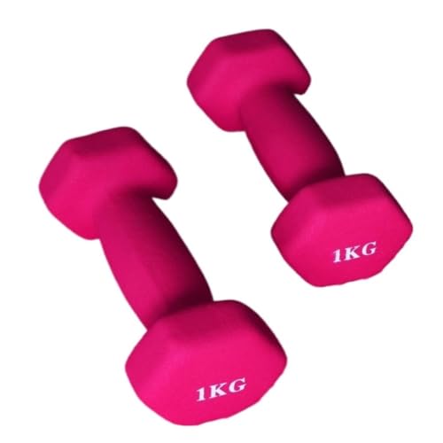Dumbbells Dip-Hanteln aus Kunststoff for Damen-Fitness-Heimgeräte, kleine Hanteln aus massivem reinem Eisen for Herren-Yoga-Arme Hantelset (Color : Pink, Size : 2kg) von WXHQF