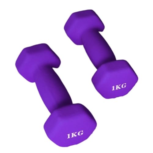 Dumbbells Dip-Hanteln aus Kunststoff for Damen-Fitness-Heimgeräte, kleine Hanteln aus massivem reinem Eisen for Herren-Yoga-Arme Hantelset (Color : Purple, Size : 3KG) von WXHQF