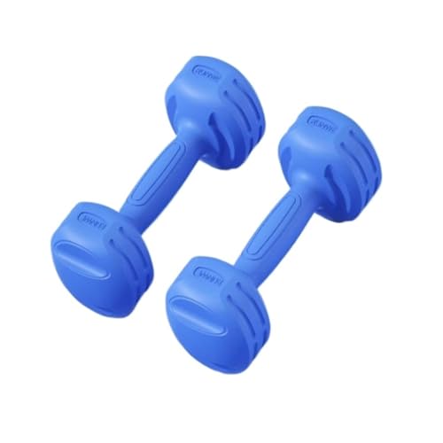 Dumbbells Fitness-Kleinhanteln For Männer Und Frauen, Damenhanteln For Armmuskeltraining, Heimfitnessgeräte Hantelset (Color : Blue, Size : 2KG) von WXHQF