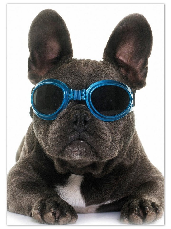 Teppich Cooler Hund mit Sonnenbrille in blau - Französische Bulldogge, Wallario, rechteckig, rutschfest von Wallario