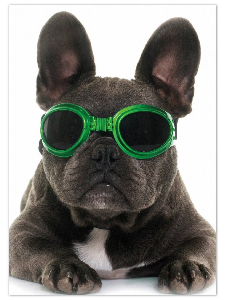 Teppich Cooler Hund mit Sonnenbrille in grün - Französische Bulldogge, Wallario, rechteckig, rutschfest von Wallario
