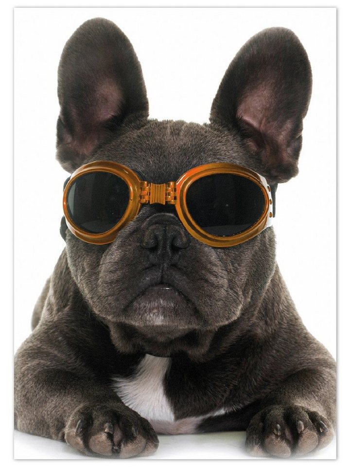 Teppich Cooler Hund mit Sonnenbrille in orange - Französische Bulldogge, Wallario, rechteckig, rutschfest von Wallario