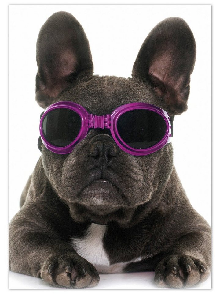 Teppich Cooler Hund mit Sonnenbrille in pink - Französische Bulldogge, Wallario, rechteckig, rutschfest von Wallario