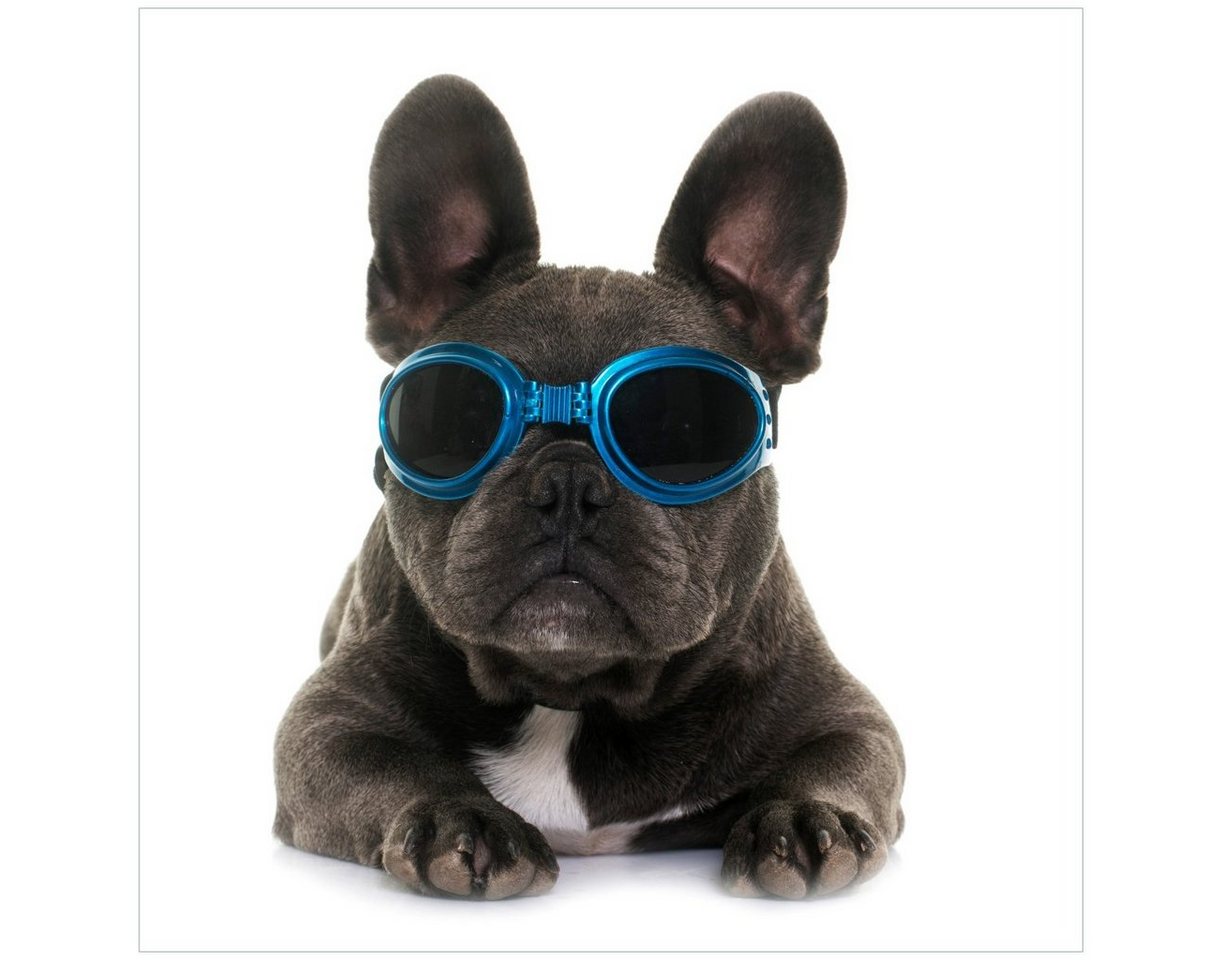 Wallario Acrylglasbild, Cooler Hund mit Sonnenbrille in blau - Französische Bulldogge, in verschiedenen Ausführungen von Wallario