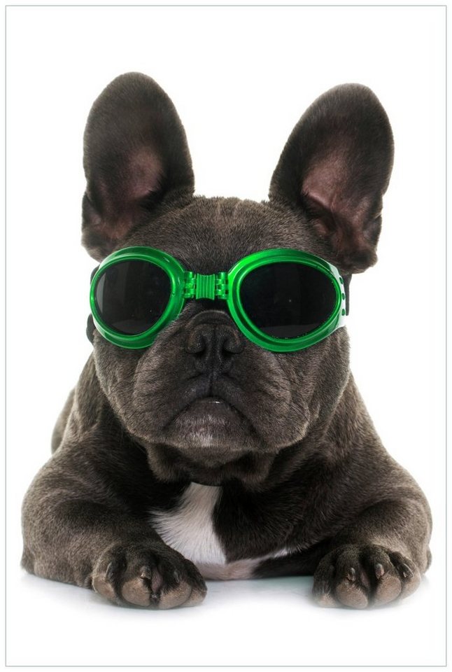 Wallario Acrylglasbild, Cooler Hund mit Sonnenbrille in grün - Französische Bulldogge, in verschiedenen Ausführungen von Wallario