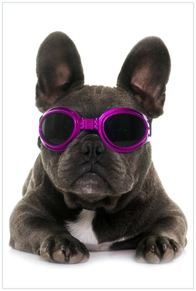 Wallario Acrylglasbild, Cooler Hund mit Sonnenbrille in pink - Französische Bulldogge, in verschiedenen Ausführungen von Wallario