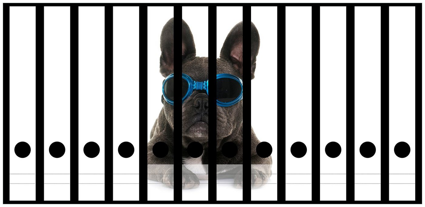 Wallario Etiketten Cooler Hund mit Sonnenbrille in blau - Französische Bulldogge, Ordnerrücken-Sticker in verschiedenen Ausführungen von Wallario