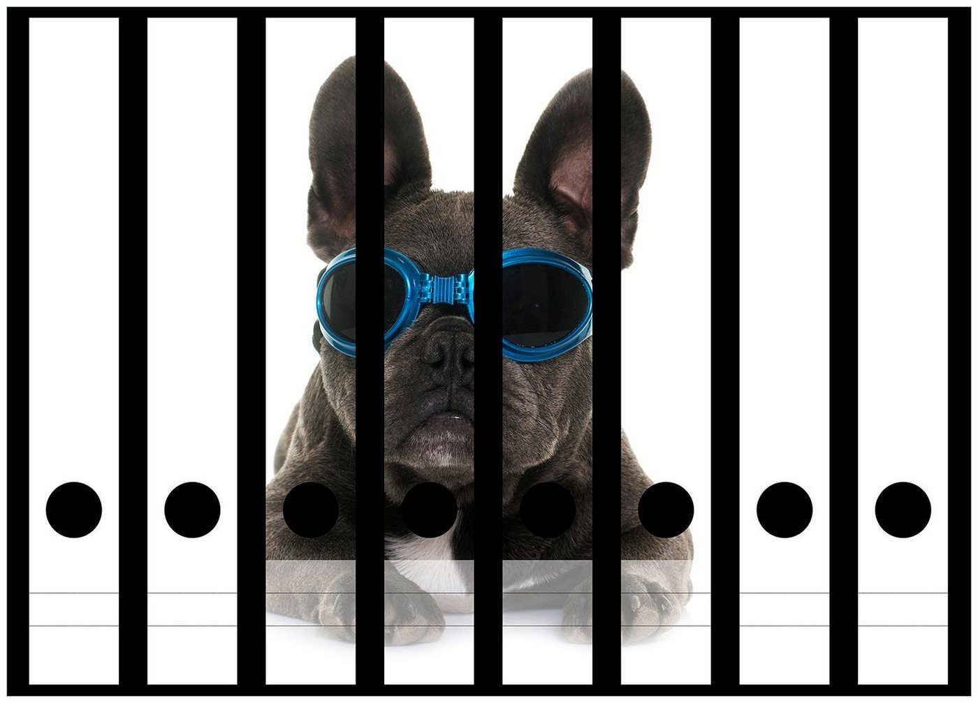 Wallario Etiketten Cooler Hund mit Sonnenbrille in blau - Französische Bulldogge, Ordnerrücken-Sticker in verschiedenen Ausführungen von Wallario