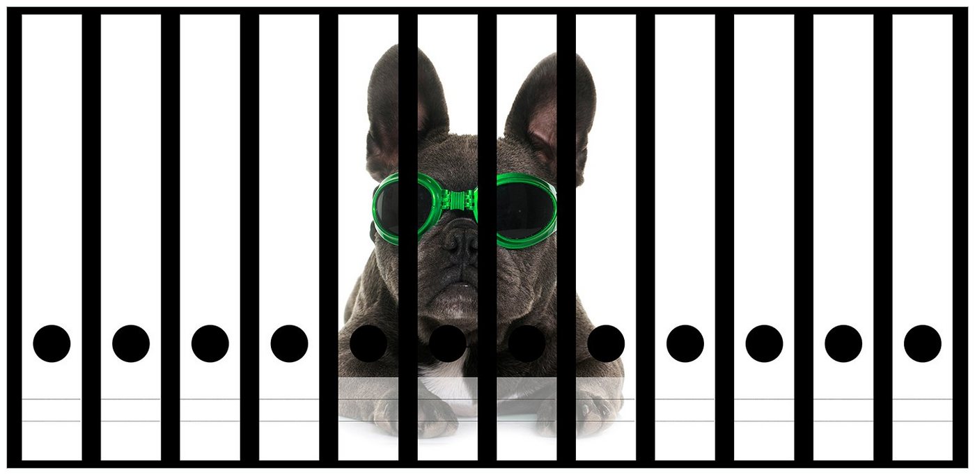 Wallario Etiketten Cooler Hund mit Sonnenbrille in grün - Französische Bulldogge, Ordnerrücken-Sticker in verschiedenen Ausführungen von Wallario