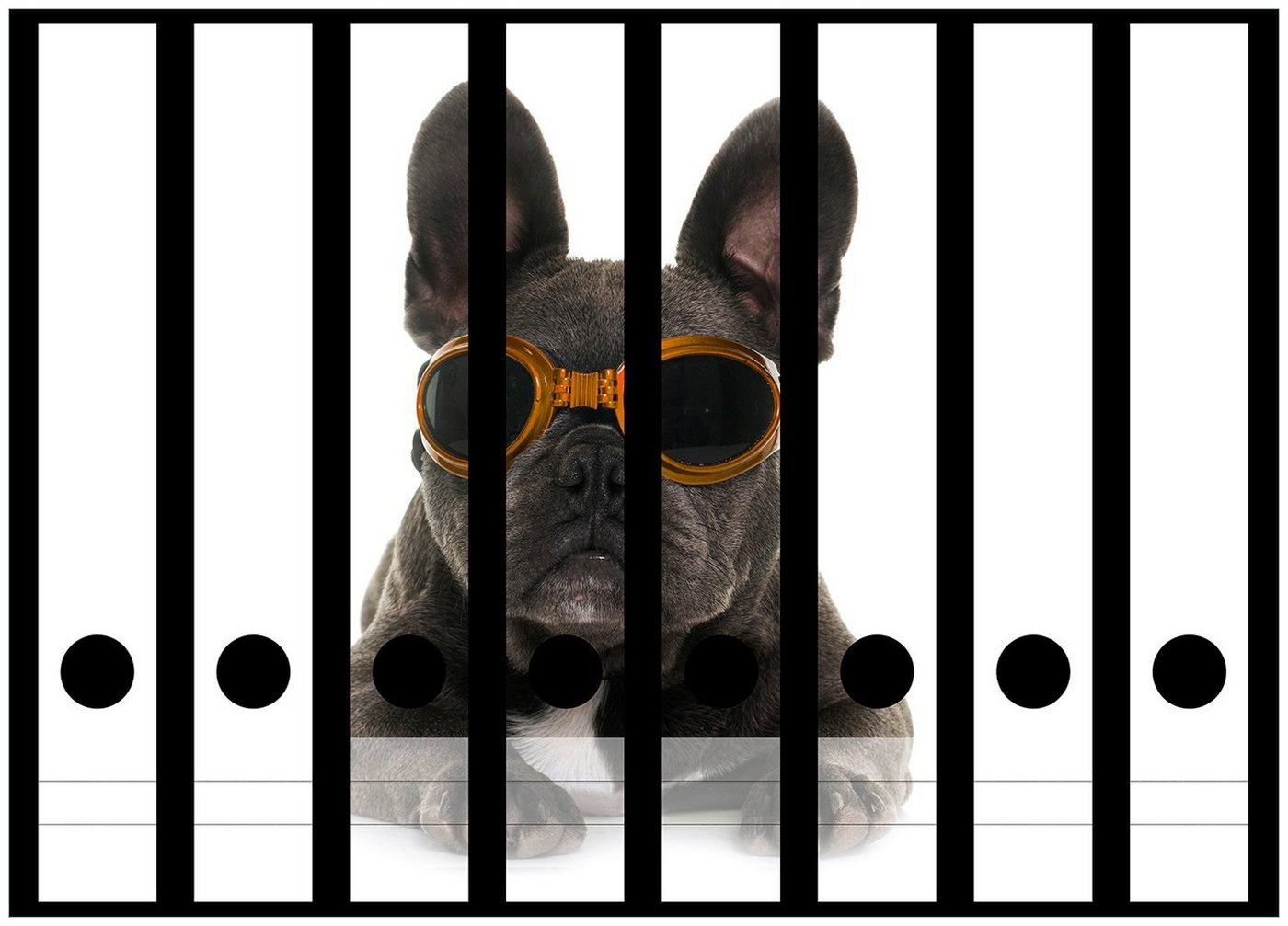 Wallario Etiketten Cooler Hund mit Sonnenbrille in orange - Französische Bulldogge, Ordnerrücken-Sticker in verschiedenen Ausführungen von Wallario