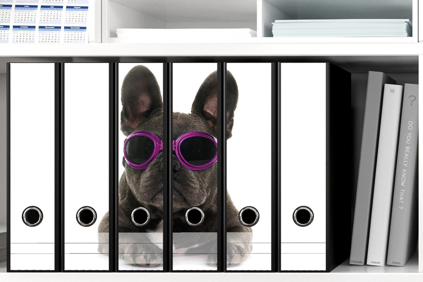 Wallario Etiketten Cooler Hund mit Sonnenbrille in pink - Französische Bulldogge, Ordnerrücken-Sticker in verschiedenen Ausführungen von Wallario