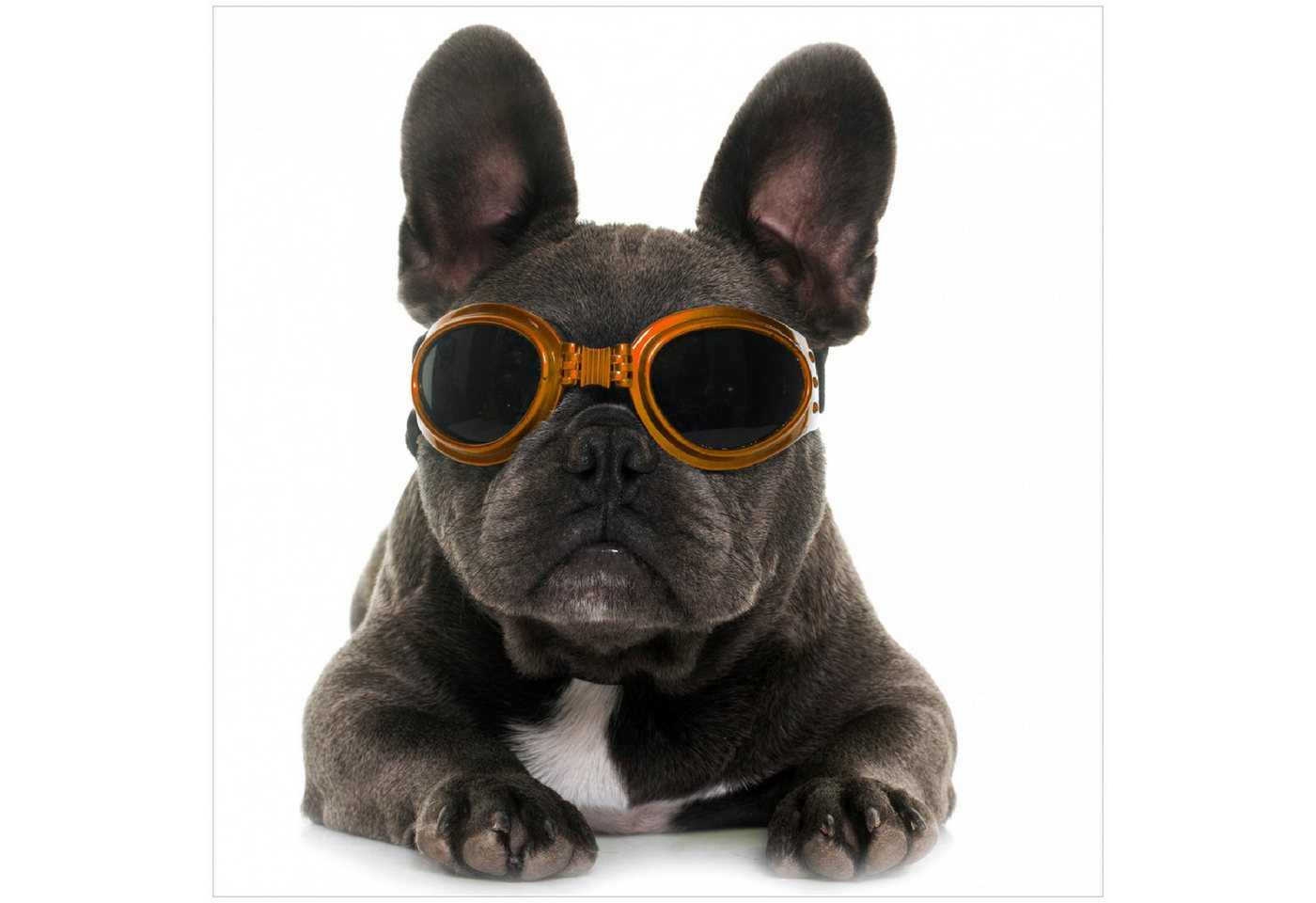 Wallario Glasbild, Cooler Hund mit Sonnenbrille in orange - Französische Bulldogge, in verschiedenen Ausführungen von Wallario