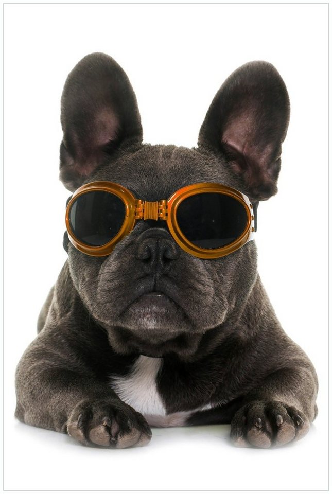 Wallario Glasbild, Cooler Hund mit Sonnenbrille in orange - Französische Bulldogge, in verschiedenen Ausführungen von Wallario