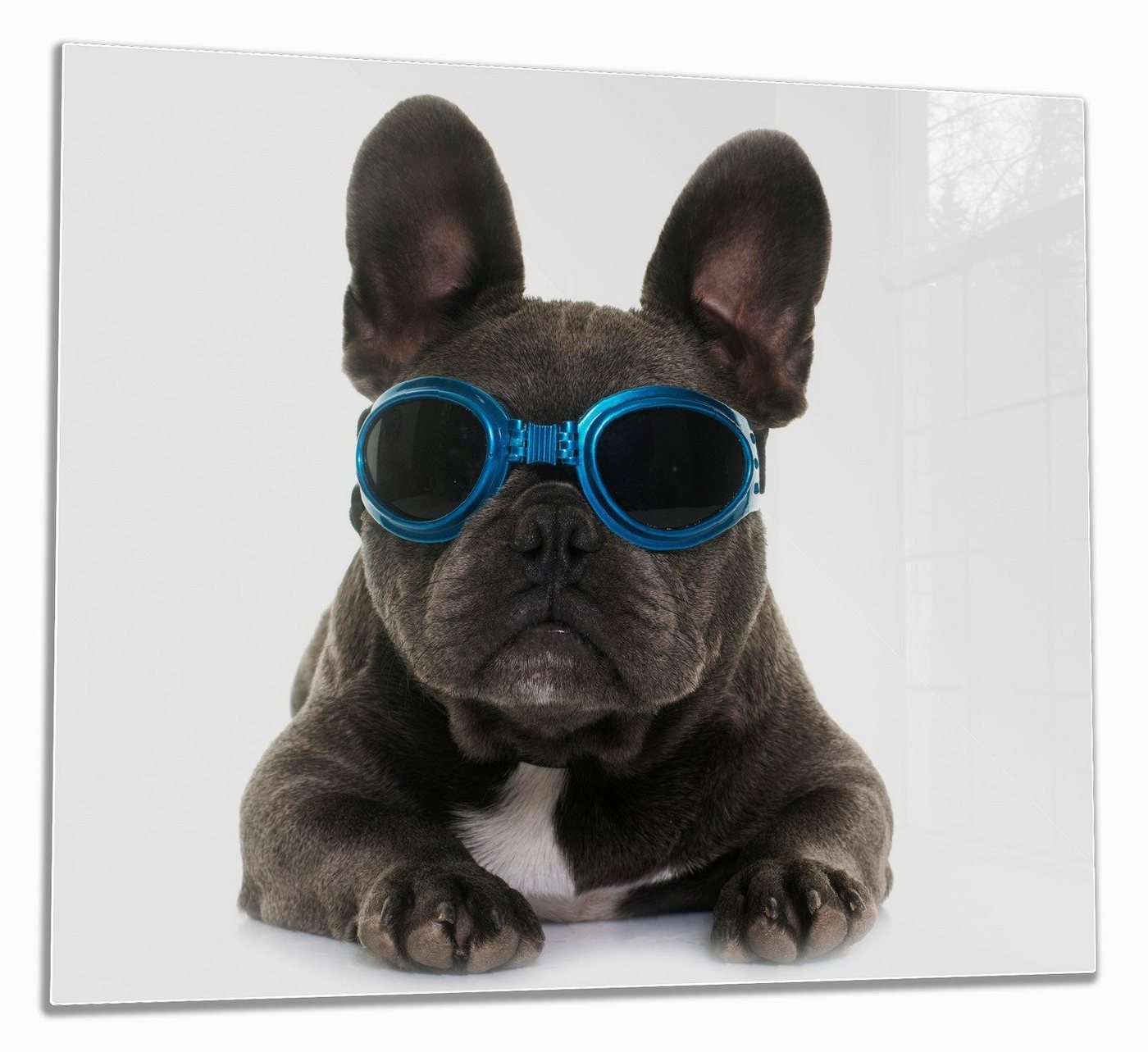 Wallario Herd-Abdeckplatte Cooler Hund mit Sonnenbrille in blau - Französische Bulldogge, ESG-Sicherheitsglas, (Glasplatte, 1 tlg., inkl. 5mm Noppen), verschiedene Größen von Wallario