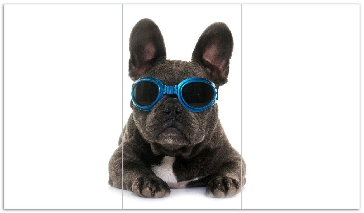 Wallario Herd-Abdeckplatte Cooler Hund mit Sonnenbrille in blau - Französische Bulldogge, ESG-Sicherheitsglas, (Glasplatte, 3 tlg., inkl. 5mm Noppen), verschiedene Größen von Wallario