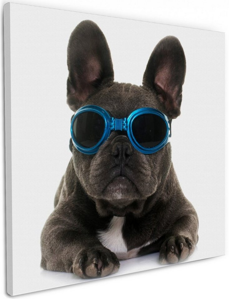 Wallario Leinwandbild, Cooler Hund mit Sonnenbrille in blau - Französische Bulldogge, in verschiedenen Ausführungen von Wallario