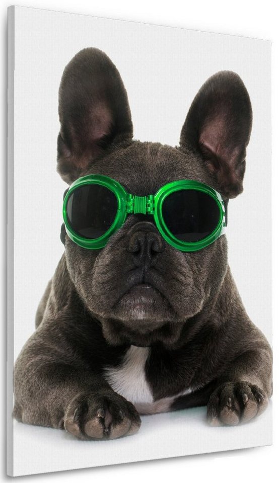 Wallario Leinwandbild, Cooler Hund mit Sonnenbrille in grün - Französische Bulldogge, in verschiedenen Ausführungen von Wallario