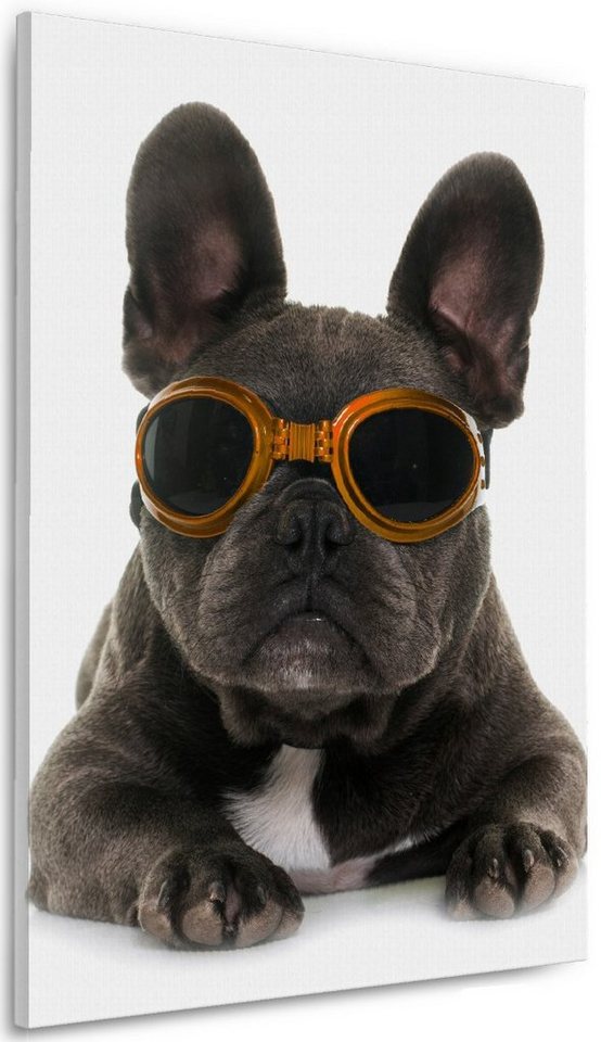 Wallario Leinwandbild, Cooler Hund mit Sonnenbrille in orange - Französische Bulldogge, in verschiedenen Ausführungen von Wallario