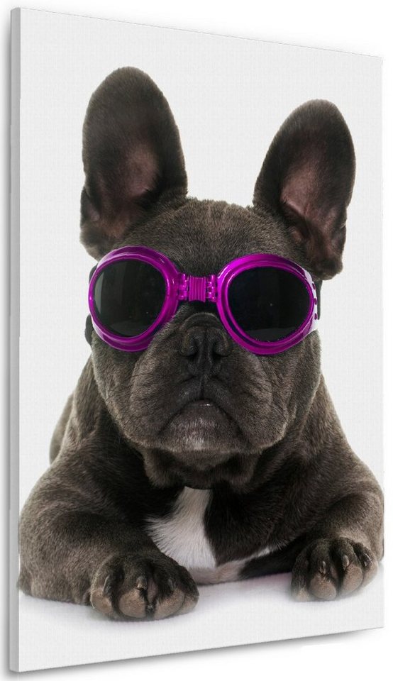 Wallario Leinwandbild, Cooler Hund mit Sonnenbrille in pink - Französische Bulldogge, in verschiedenen Ausführungen von Wallario