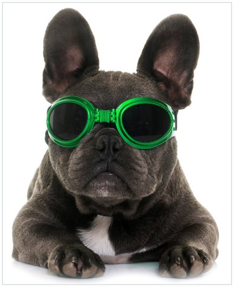Wallario Möbelfolie Cooler Hund mit Sonnenbrille in grün - Französische Bulldogge von Wallario