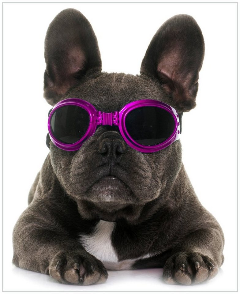 Wallario Möbelfolie Cooler Hund mit Sonnenbrille in pink - Französische Bulldogge von Wallario