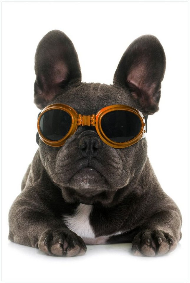 Wallario Poster, Cooler Hund mit Sonnenbrille in orange - Französische Bulldogge, in verschiedenen Ausführungen von Wallario