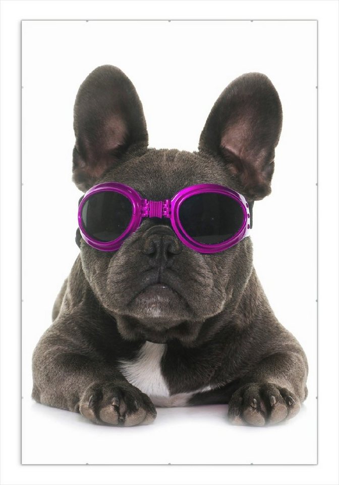 Wallario Poster, Cooler Hund mit Sonnenbrille in pink - Französische Bulldogge, in verschiedenen Ausführungen von Wallario