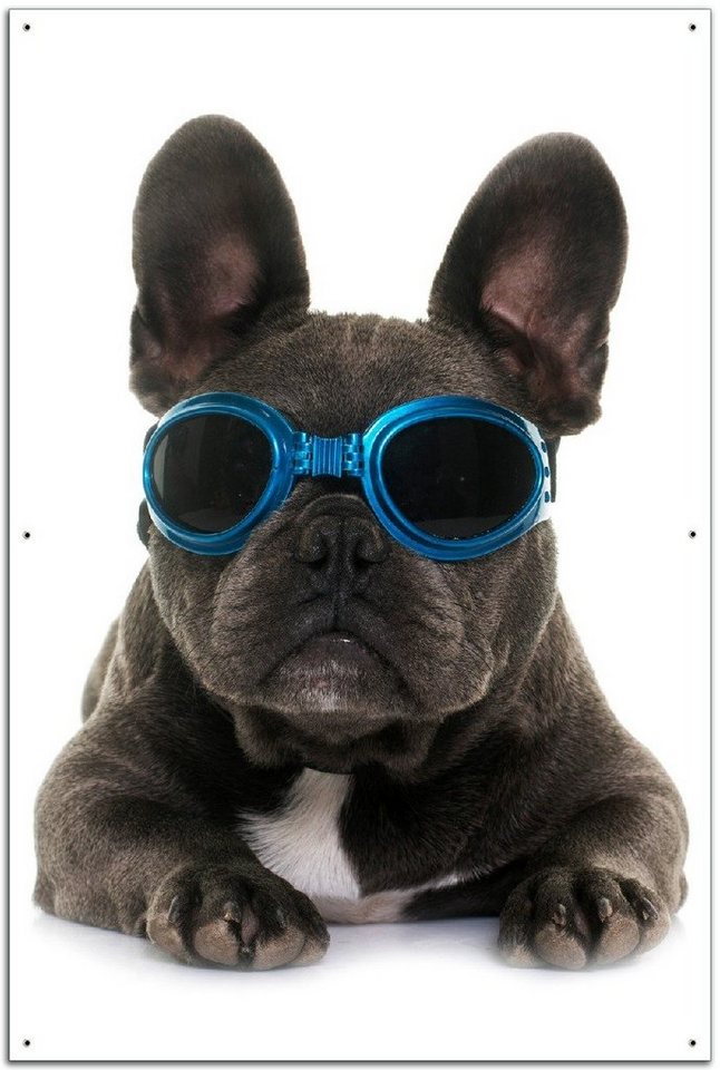 Wallario Sichtschutzzaunmatten Cooler Hund mit Sonnenbrille in blau - Französische Bulldogge von Wallario