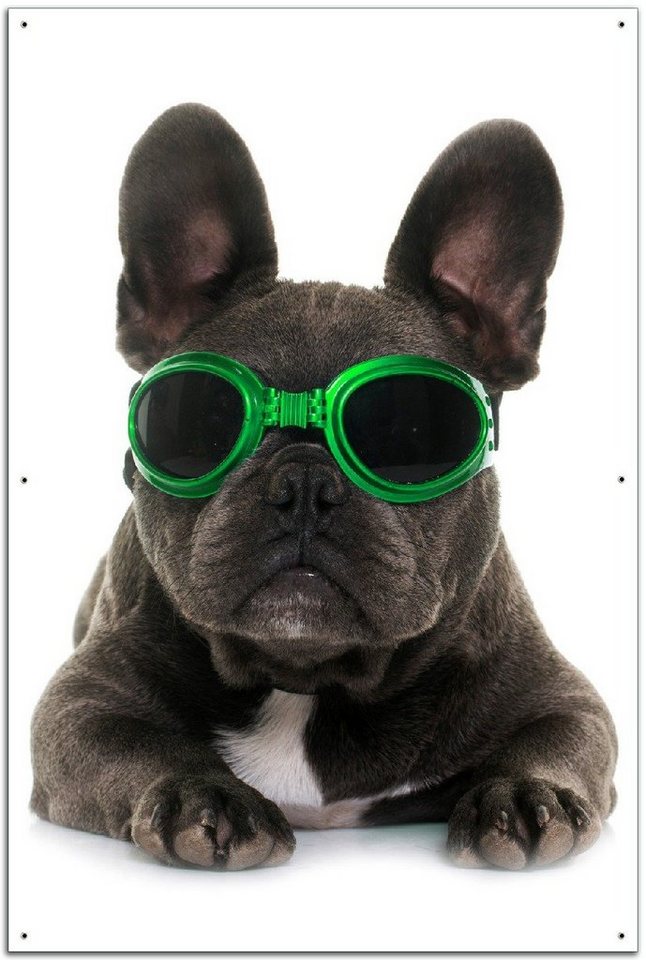 Wallario Sichtschutzzaunmatten Cooler Hund mit Sonnenbrille in grün - Französische Bulldogge von Wallario