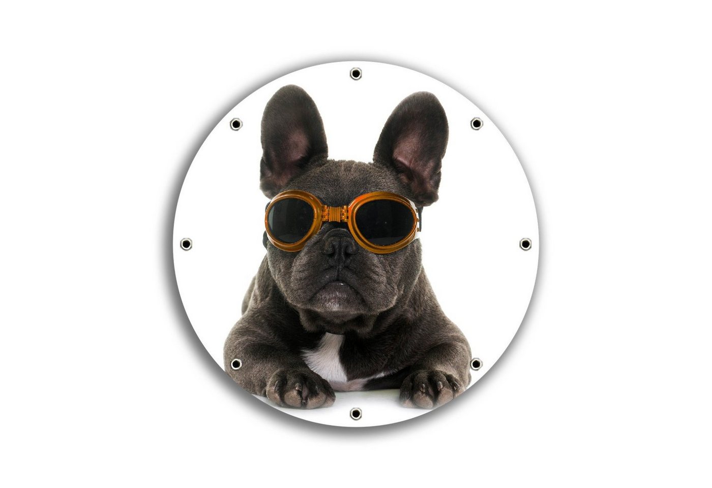 Wallario Sichtschutzzaunmatten Cooler Hund mit Sonnenbrille in orange - Französische Bulldogge, rund von Wallario