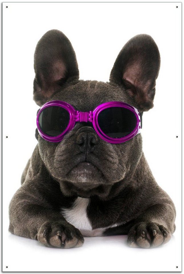 Wallario Sichtschutzzaunmatten Cooler Hund mit Sonnenbrille in pink - Französische Bulldogge von Wallario