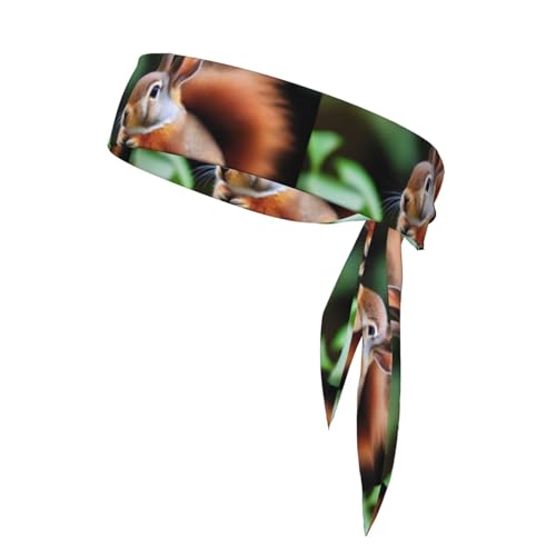 Niedliches Eichhörnchen-Sport-Stirnband, wendbares Stirnband, Lauf-Stirnband, Fitness-Haarband, weich, für Tennis, Radfahren und Yoga von WapNo